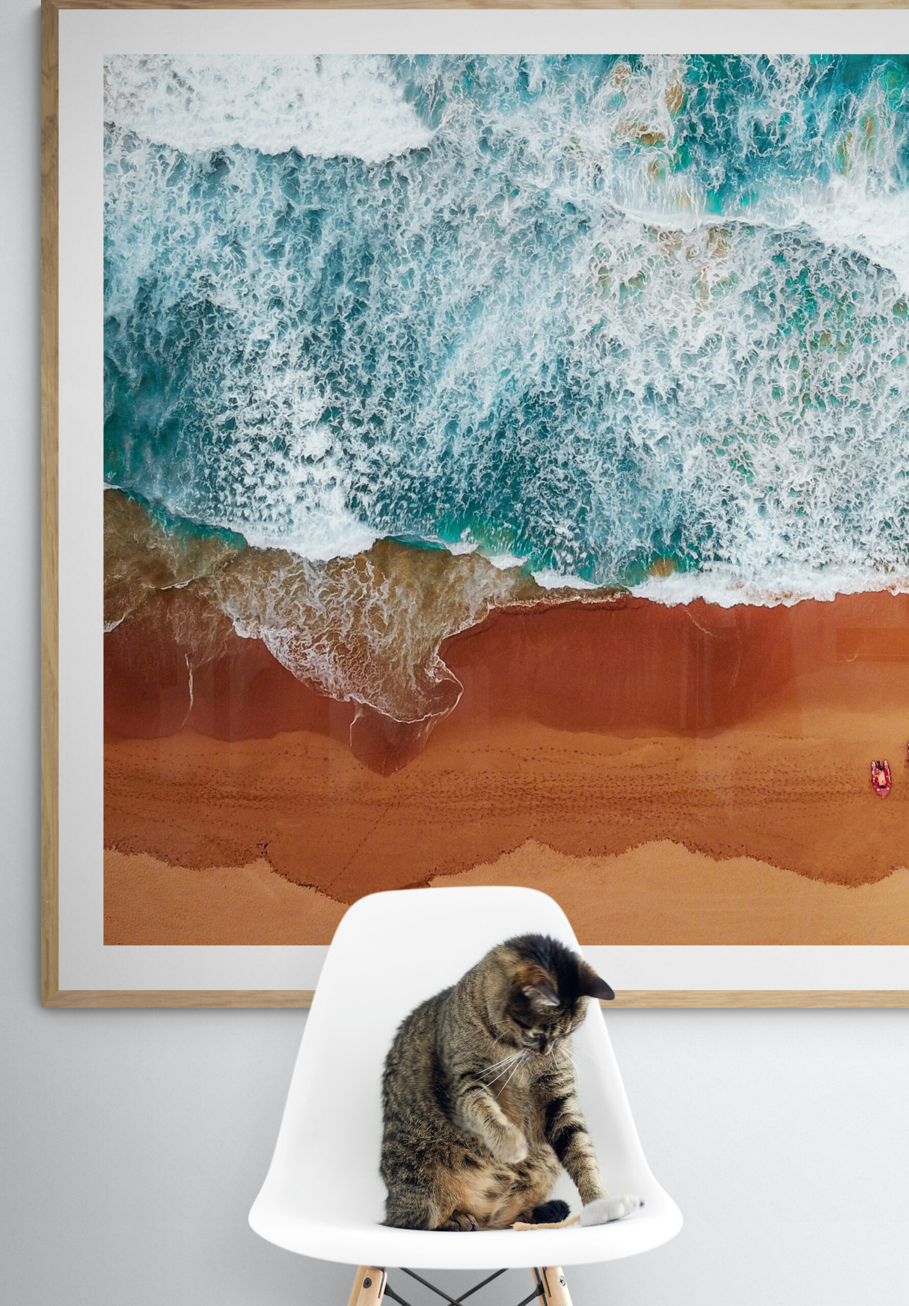 Cat sits on chair in front of a large oak framed print with aerial image of the beach