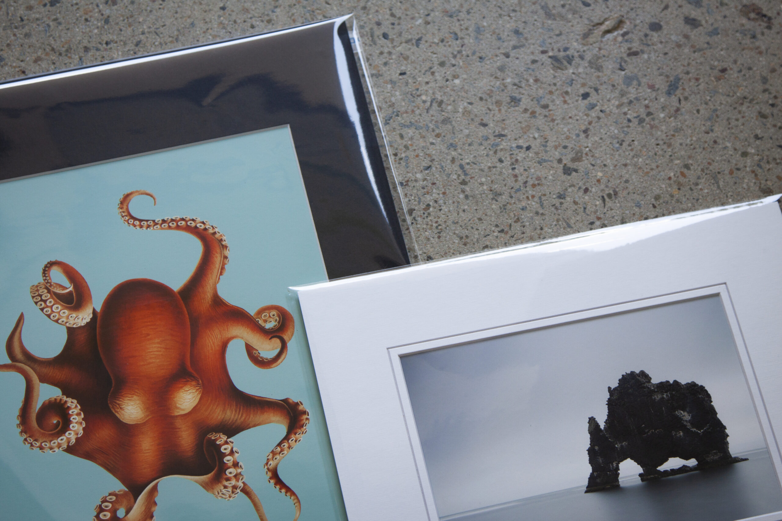 Photos printed and mounted into slip-in mounts and clear plastic sleeves