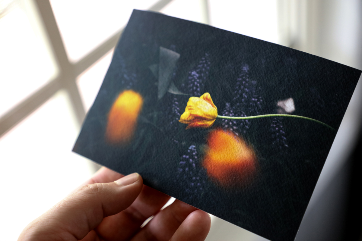 Close up of a hand holding a photograph of a tulip on a dark background printed on heavily textured aquarelle rag photographic fine art paper