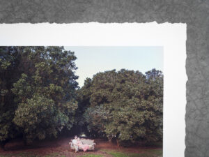 Couple under trees printed on smooth canson rag photographique with a white border and torn edge