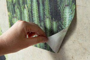 Hand peeling off a wall sticker print of succulents on an industrial concrete wall
