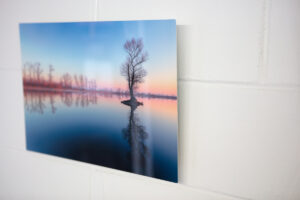 Aluminium Print floating off a white brick wall of a tree reflecting in a lake at sunrise