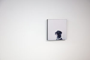 Block mounted photo of a dog on 20mm foam core with a black edge hanging on a white wall