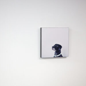 Block mounted photo of a dog on a white wall with black edging
