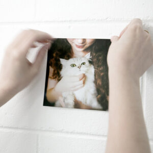 Hangs sticking a peelezy print of a girl holding a cat onto the wall