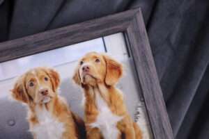 Corner of a charcoal framed canvas print of two dogs