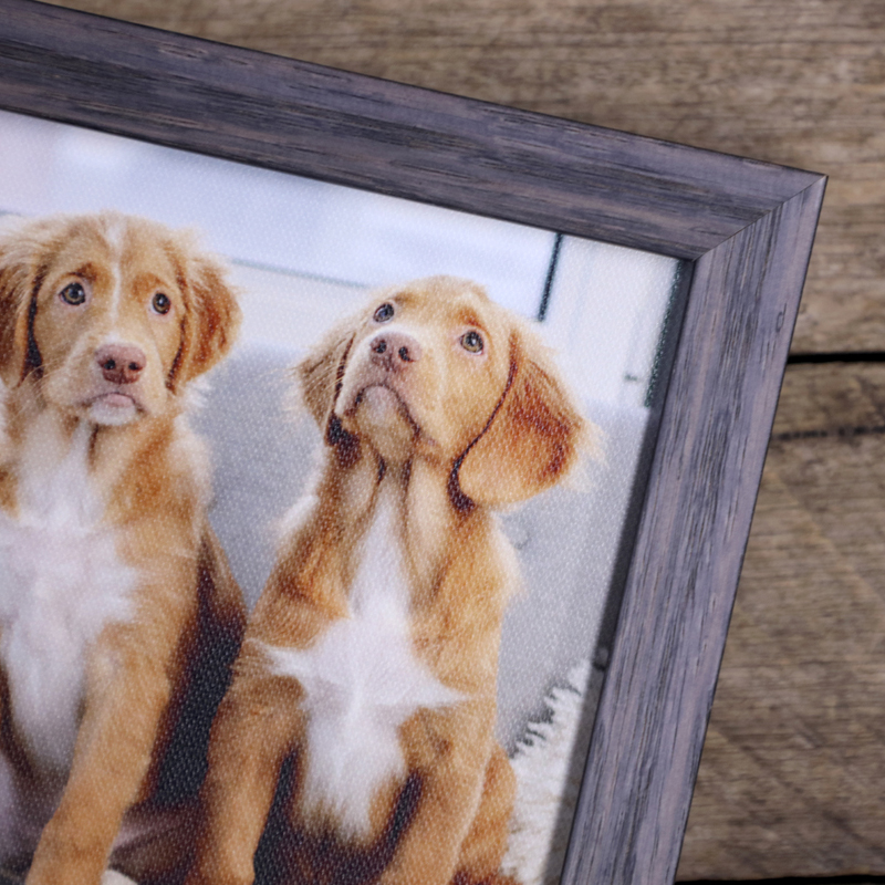 Charcoal framed canvas print with two puppy dogs
