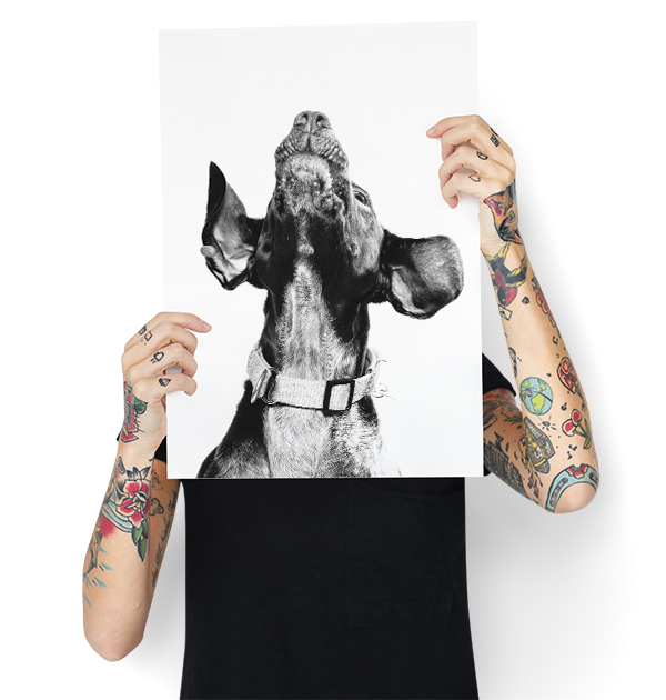 Person with tattooed arms holding up an image of a dog on kodak lustre paper