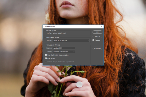 Screenshot of Photoshop Convert to Profile dialog box demonstrating settings for saving your images for print