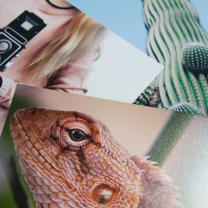 Photo lab printed lustre photo paper