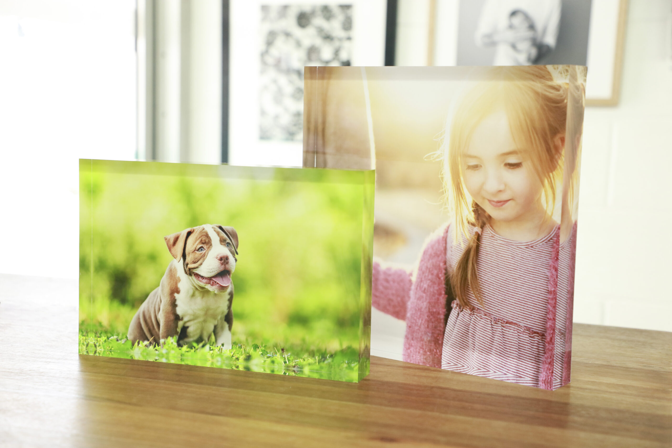 DSR_0021 Acrylic Photo Block