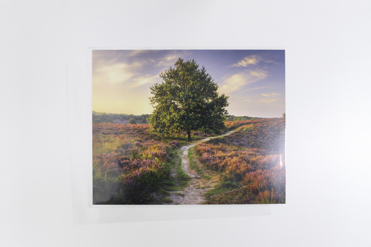 Clear Open Top Sleeves (Pack of 100)