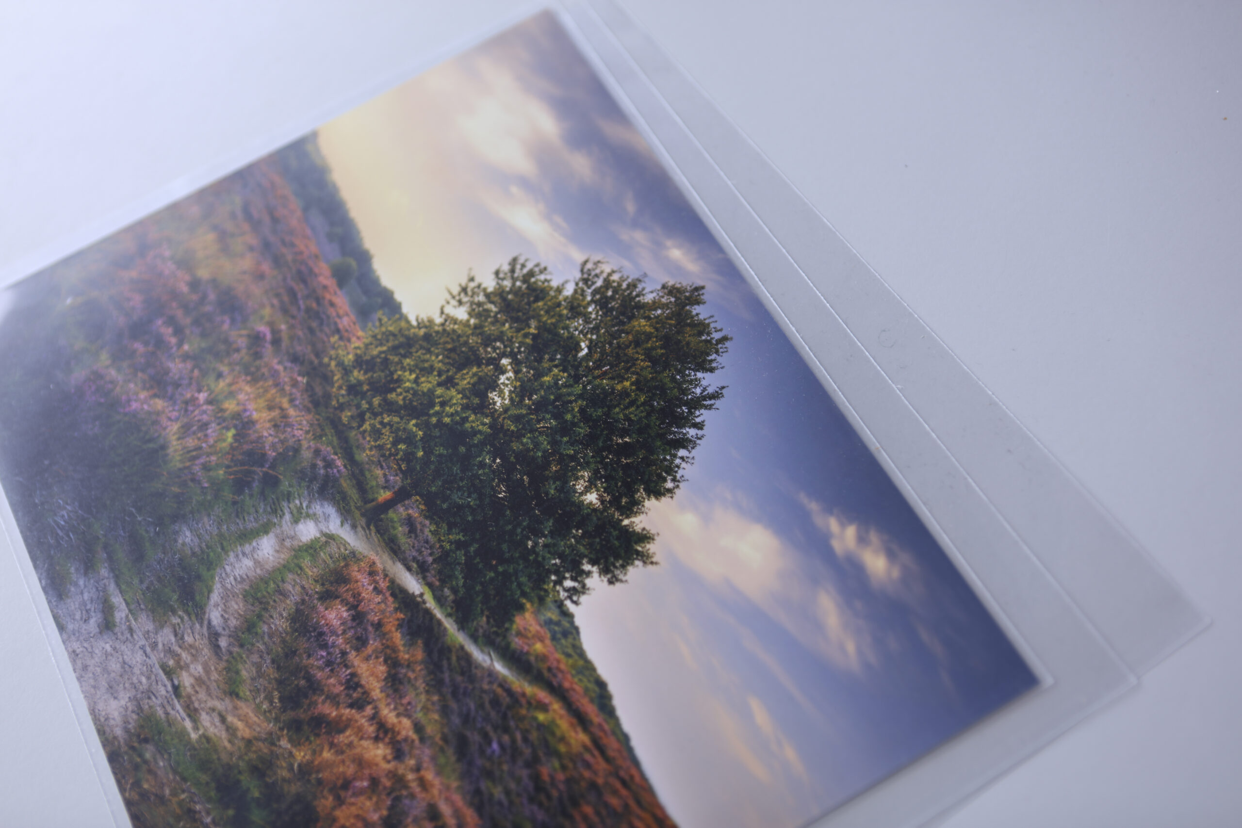 Clear Open Top Sleeves (Pack of 100) - Image 2