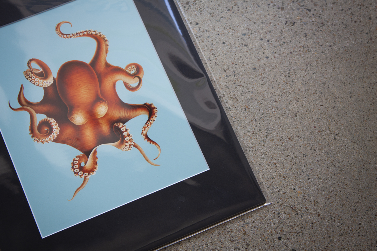 Resealable Clear Bags (Pack of 25) - Image 3