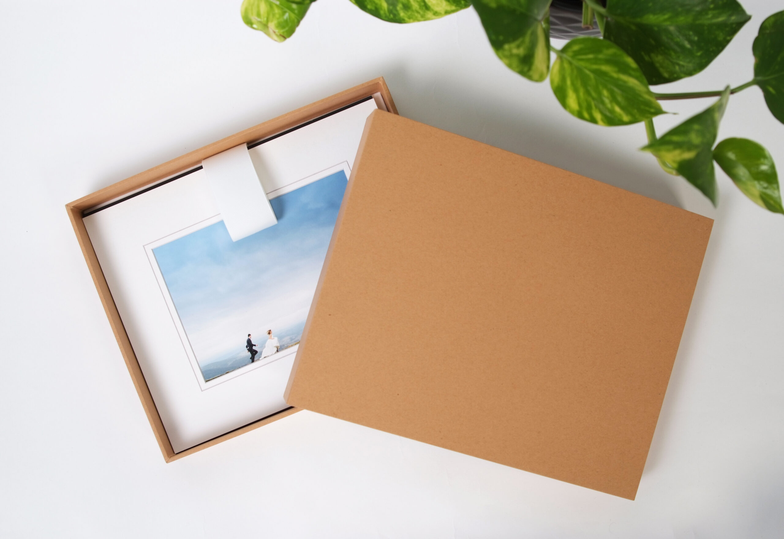 Kraft Presentation Box